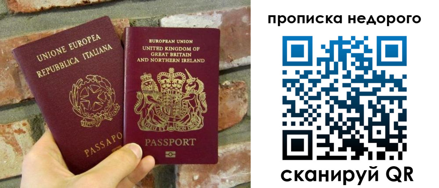 прописка поиск в Невеле